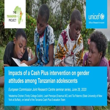 Impacts of a Cash Plus Intervention on Gender Attitudes Among Tanzanian Adole...