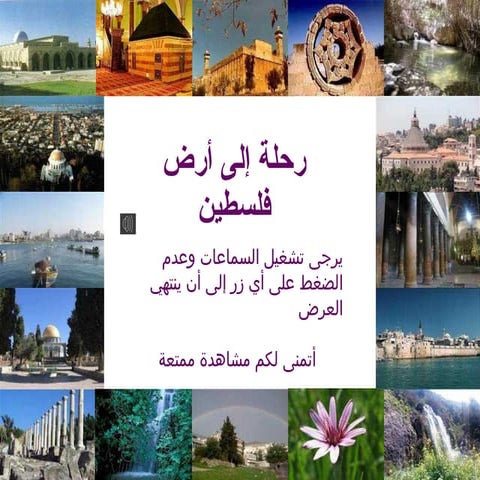 Palestine, our beloved