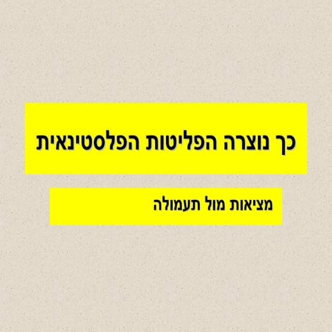 Palestinian Refugies | PPT