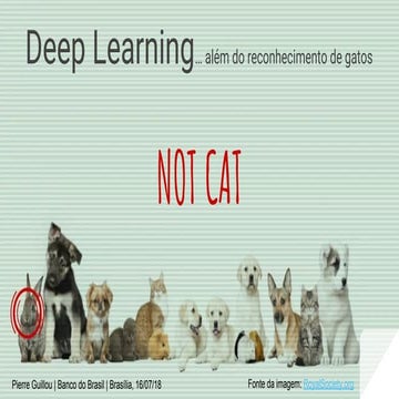 Deep Learning além do reconhecimento de gatos