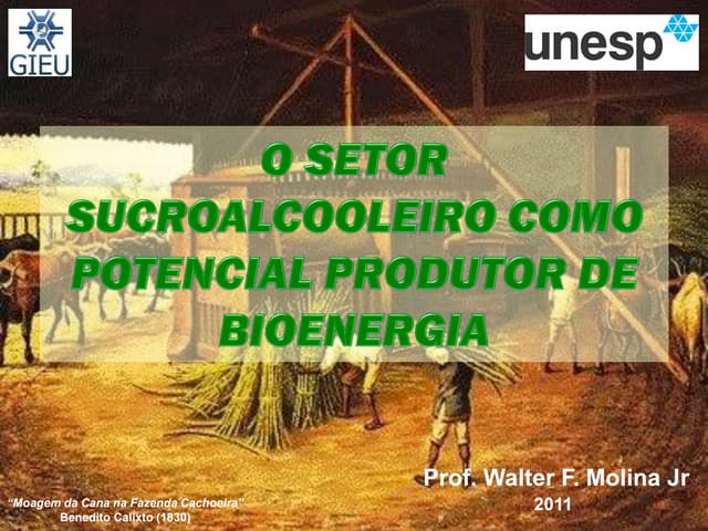 BIOENERGIA DA CANA-DE-AÇÚCAR