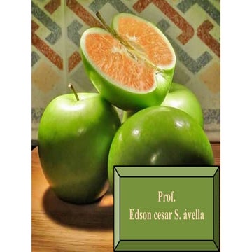 Palestra Inteligência Emocional