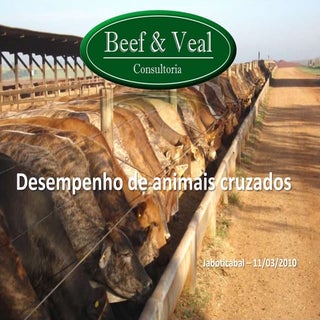 Palestra jaboticabal 2010