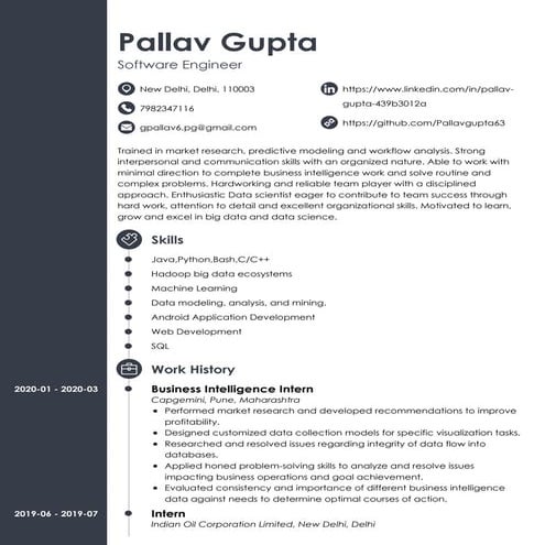 Pallav resume
