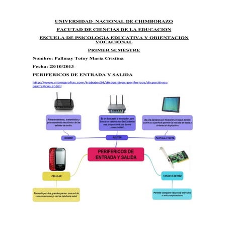 Pallmay cristina perifericos