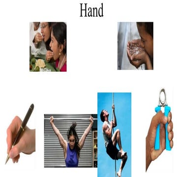 palmar aponeurosis & muscles.pptx