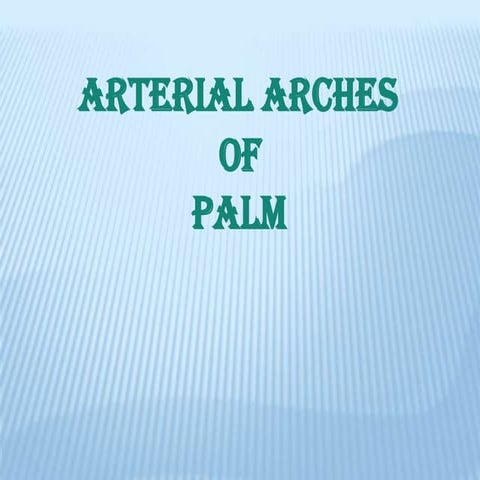 Palmar  arterial arches