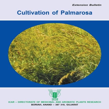 Palmarosa. Palmarosa (Cymbopogon martinii) is a perennial grass species ...