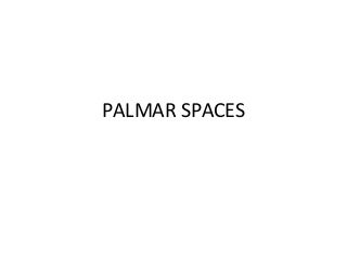 Palmar spaces