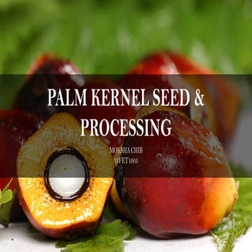Palm kernel seed & oil
