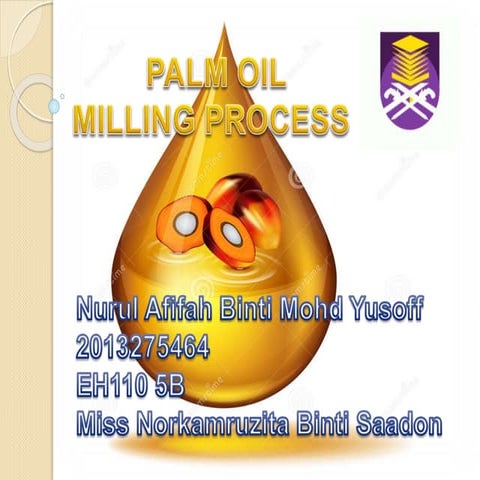 Palm oil milling process 