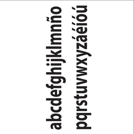 Trabajo Práctico N°1 // Palo seco