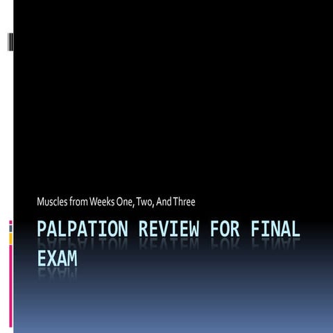 Palpation Review For Final Exam