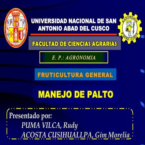  Cultivo de Palto