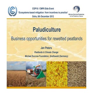Paludiculture: Business opportuniti...