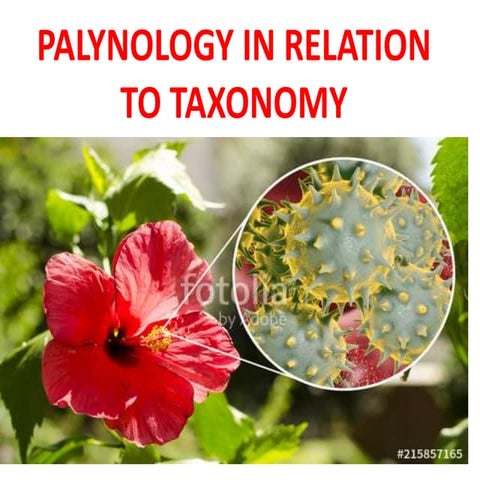 PALYNOLOGY IN RELATION TO TAXONOMY 