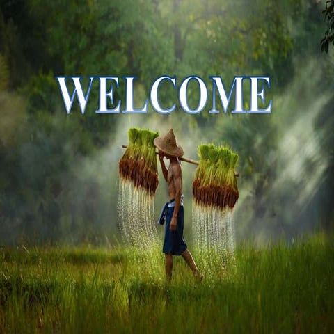 Phenotypic and Genotypic tests for identification of plant pathogens by SACHIN R KONDAGURI.pptx