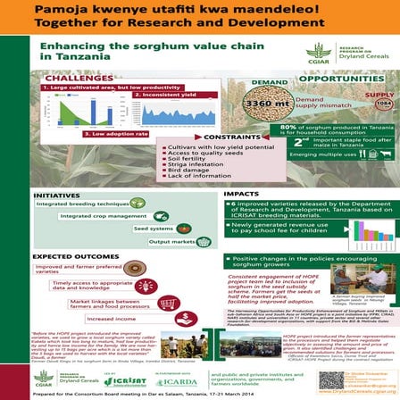 Enhancing the sorghum value chain in Tanzania