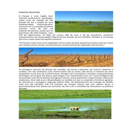 Pampas gauchos | DOCX