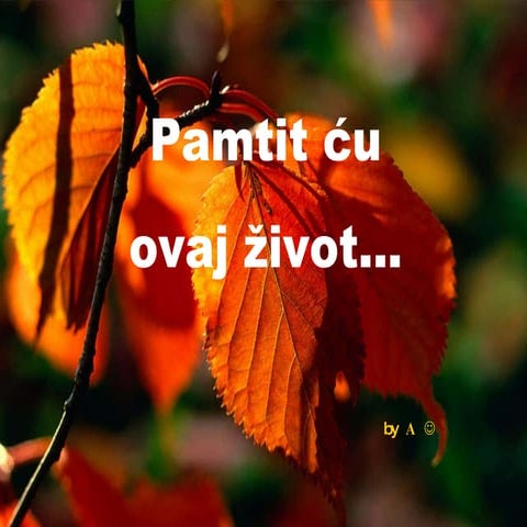 Pamtit Cu Ovaj Zivot