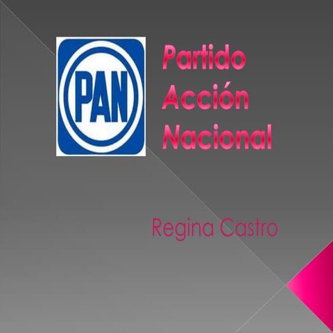 Partido Accion Nacional
