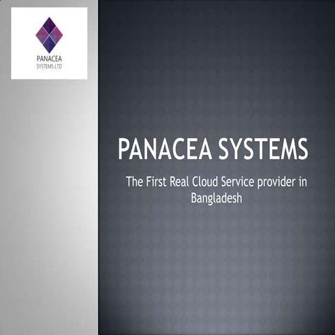 Panacea presentation for teh institute of information technology (2)
