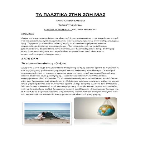 Παναγιωτίδου Ελισάβετ, Β΄ τάξη 2020-2021