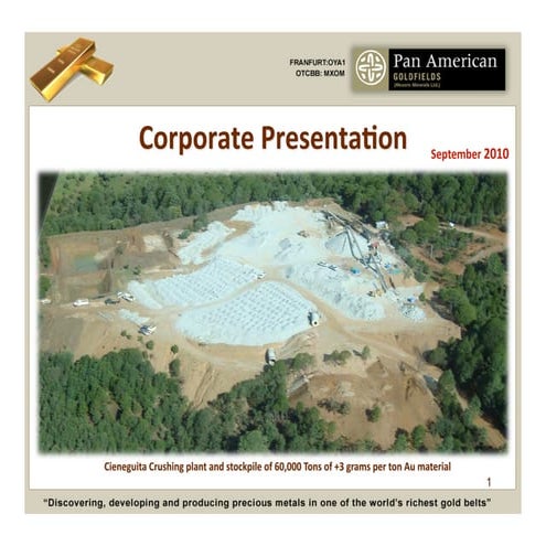 Pan American Power Point Sept 2010