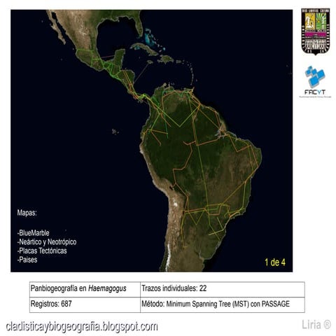 Panbiogeografia en Haemagogus