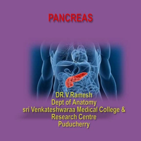 ANATOMY OF PANCREAS