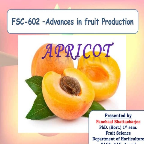 Advances in Apricot production