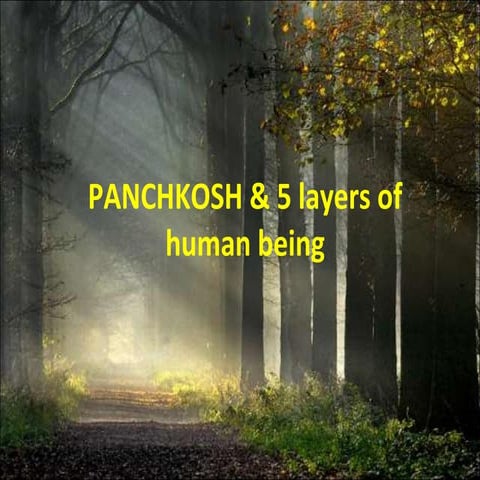 Panchkosh: 5 Layers of Existence in Humans