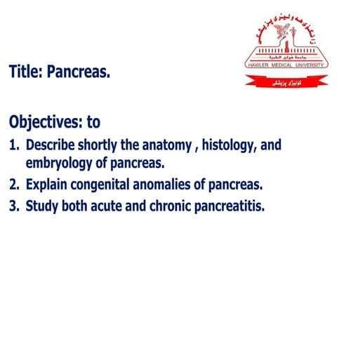 Pancreas 1