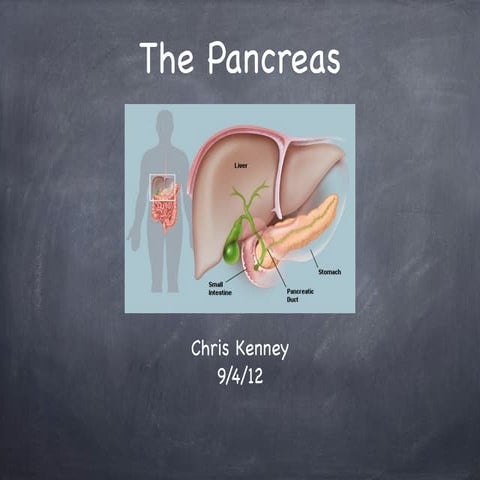 Pancreas