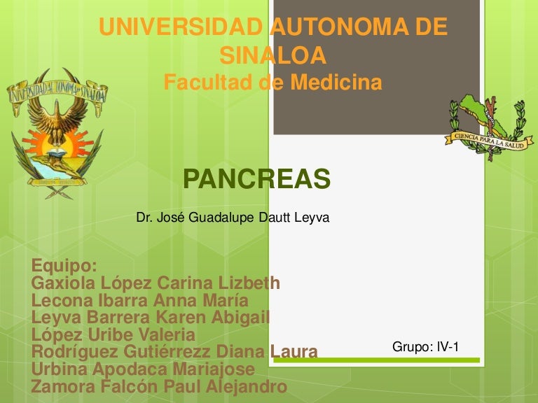páncreas afectado por diabetes insípida páncreas afectado por diabetes insípida