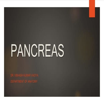pancreas-180218085812.pdf