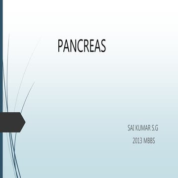 Pancreas