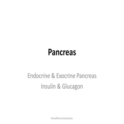 Pancreas - Endocrine System