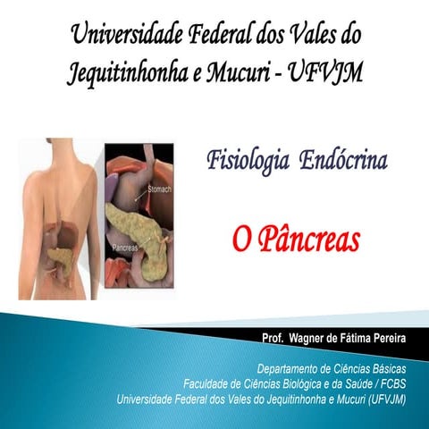 pancreas-e-adrenais.pdfdsfdgdfdfdfdfdfdfdfdfdfdfg
