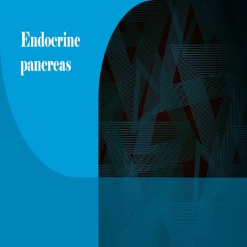 physiology of endocrine system ;pancreas