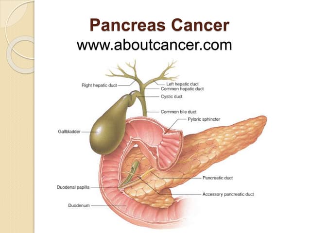Pancreas Cancer