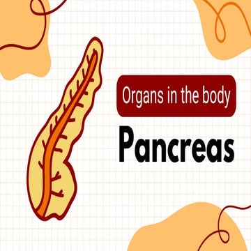 Pancreas Organ PresentatCIÓN (1).pdf