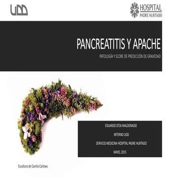 Pancreatitis apache 