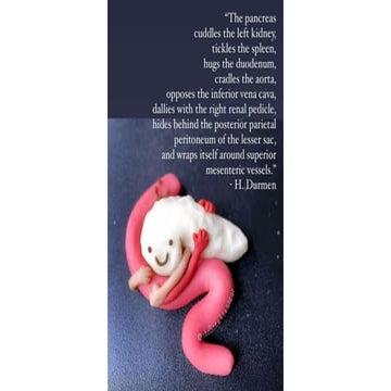 Pancreatitis and its Complications, and Acute Cholangitis