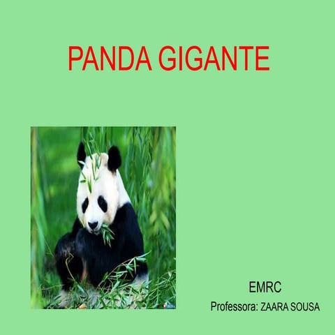 Panda 1 | PPTX