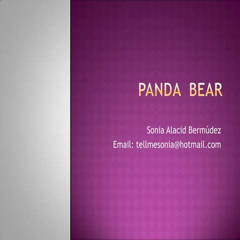 Panda bear | PPTX