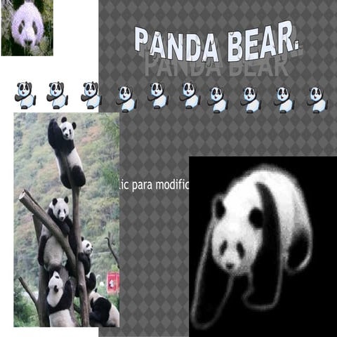 Panda bear | PPTX