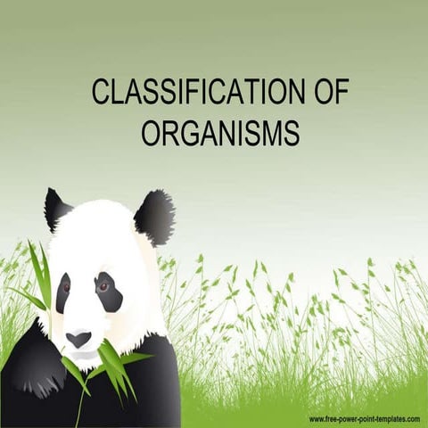CLASSIFICATION OF ORGANISMS 