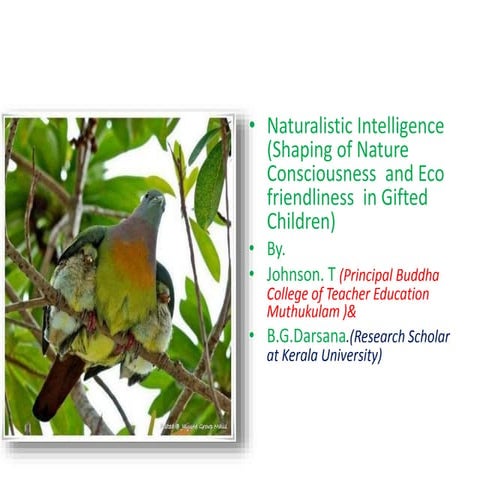 Naturalistic intelligence