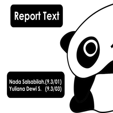 Report text about animal (panda)